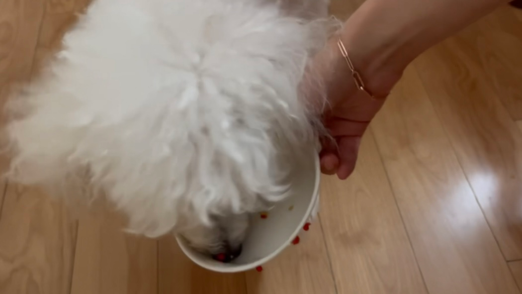 썸네일이미지